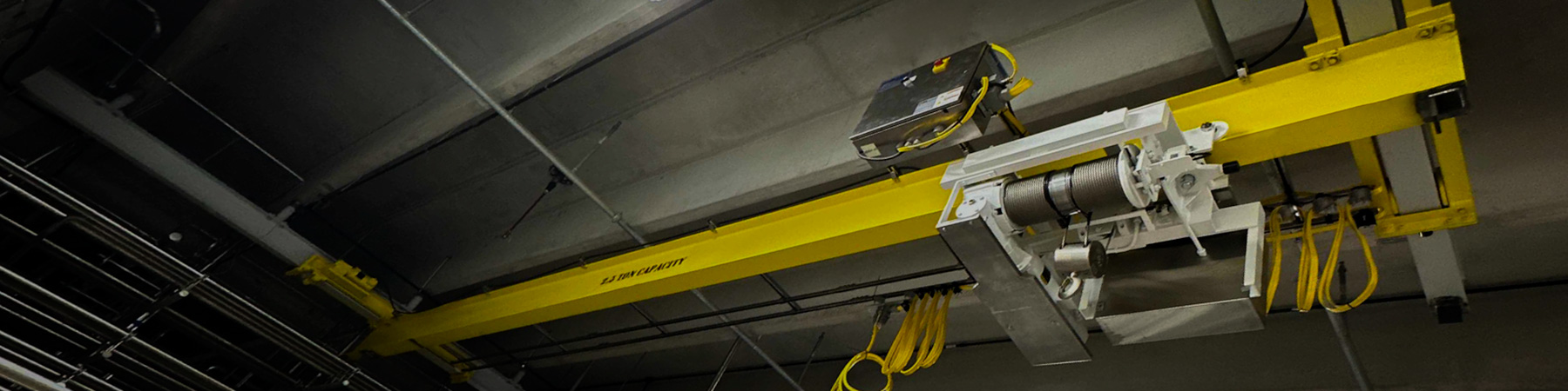 Food-Grade Overhead Crane and Hoist